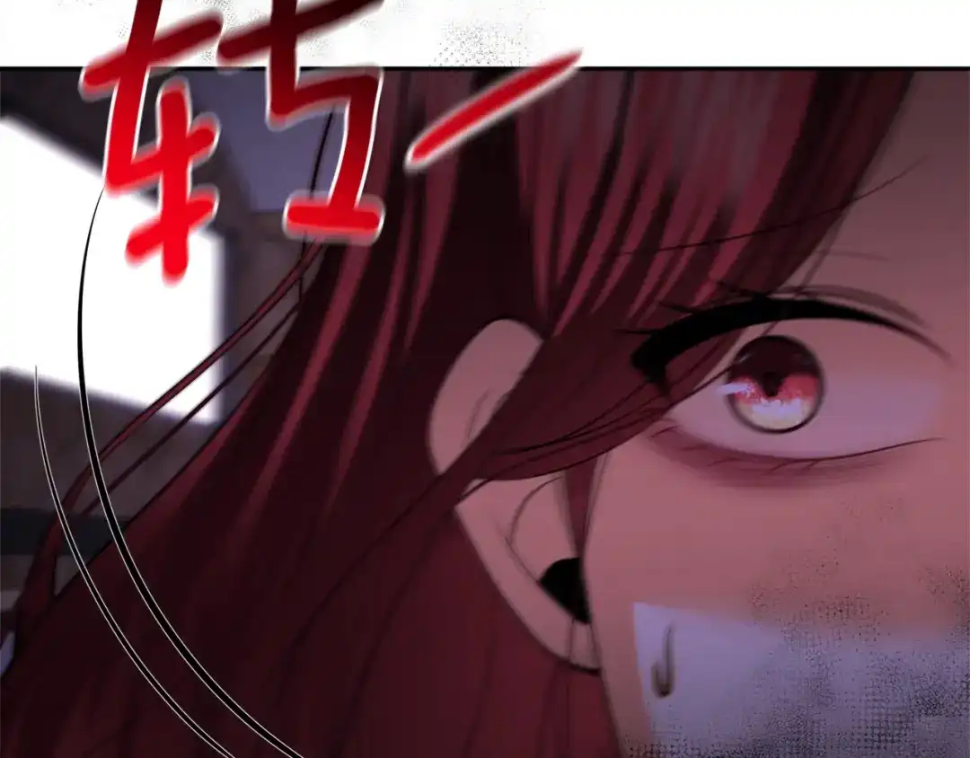 第205页
