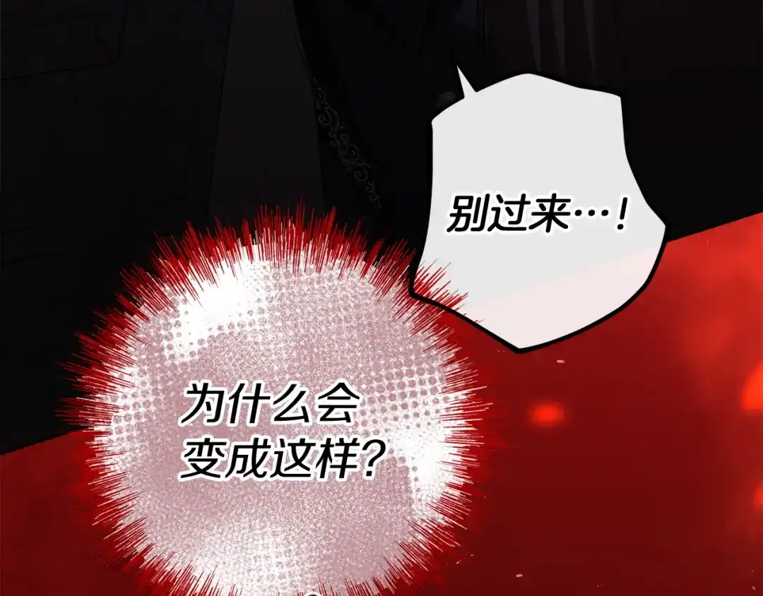 第185页