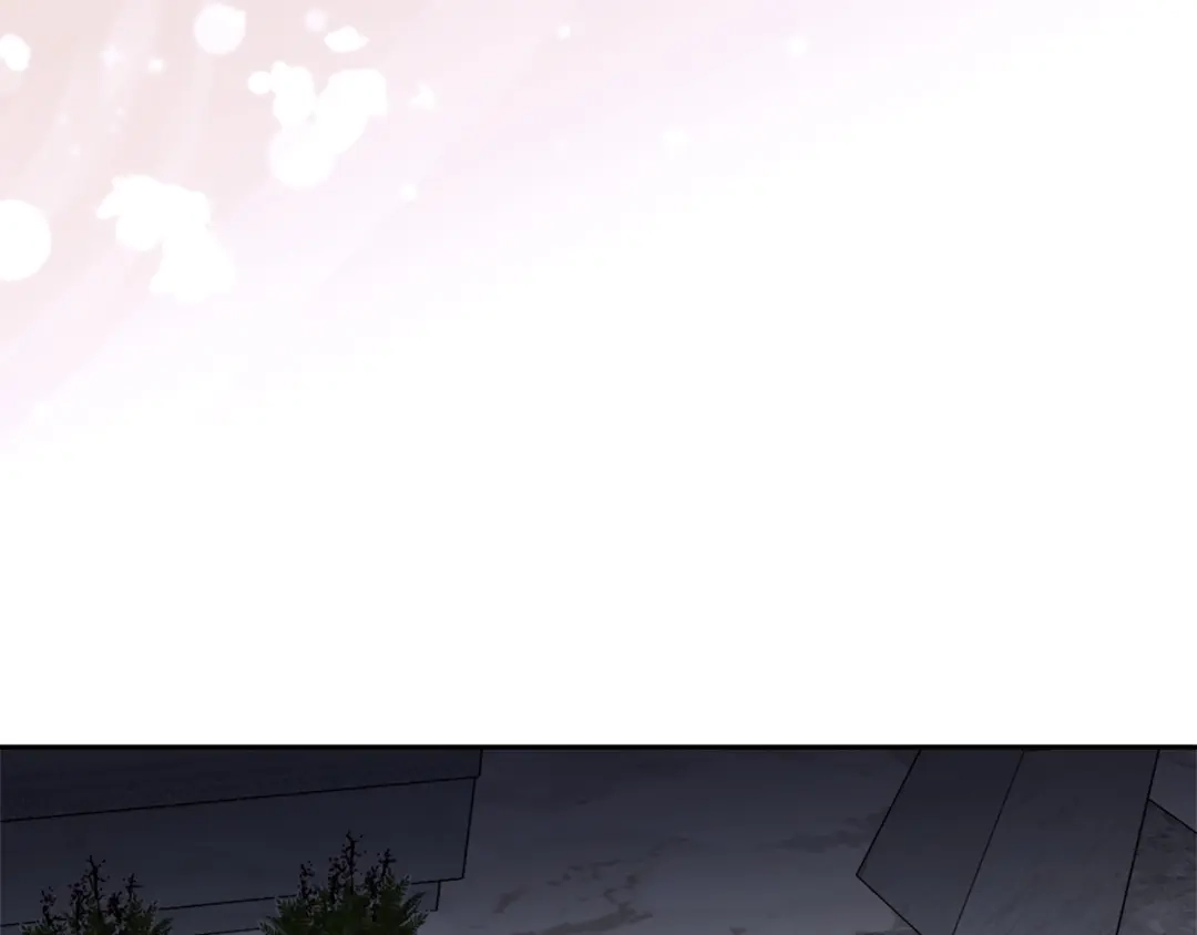 第223页