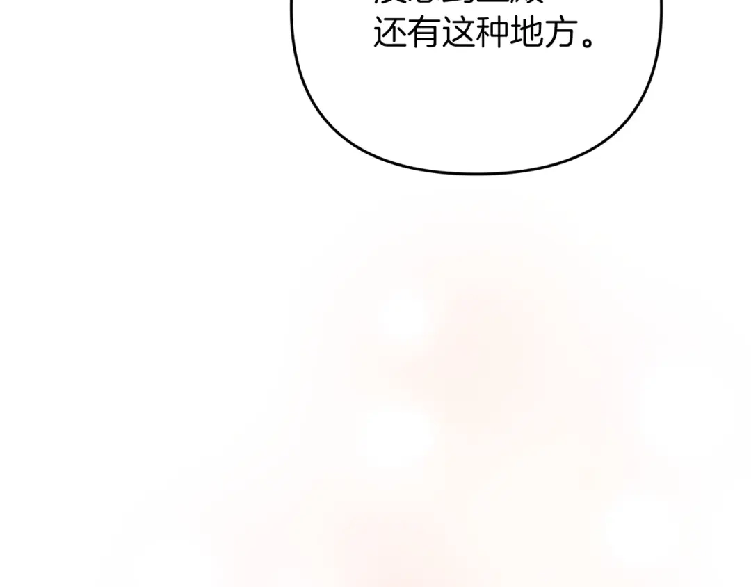 第223页
