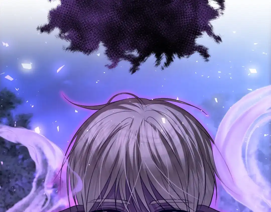 第207页