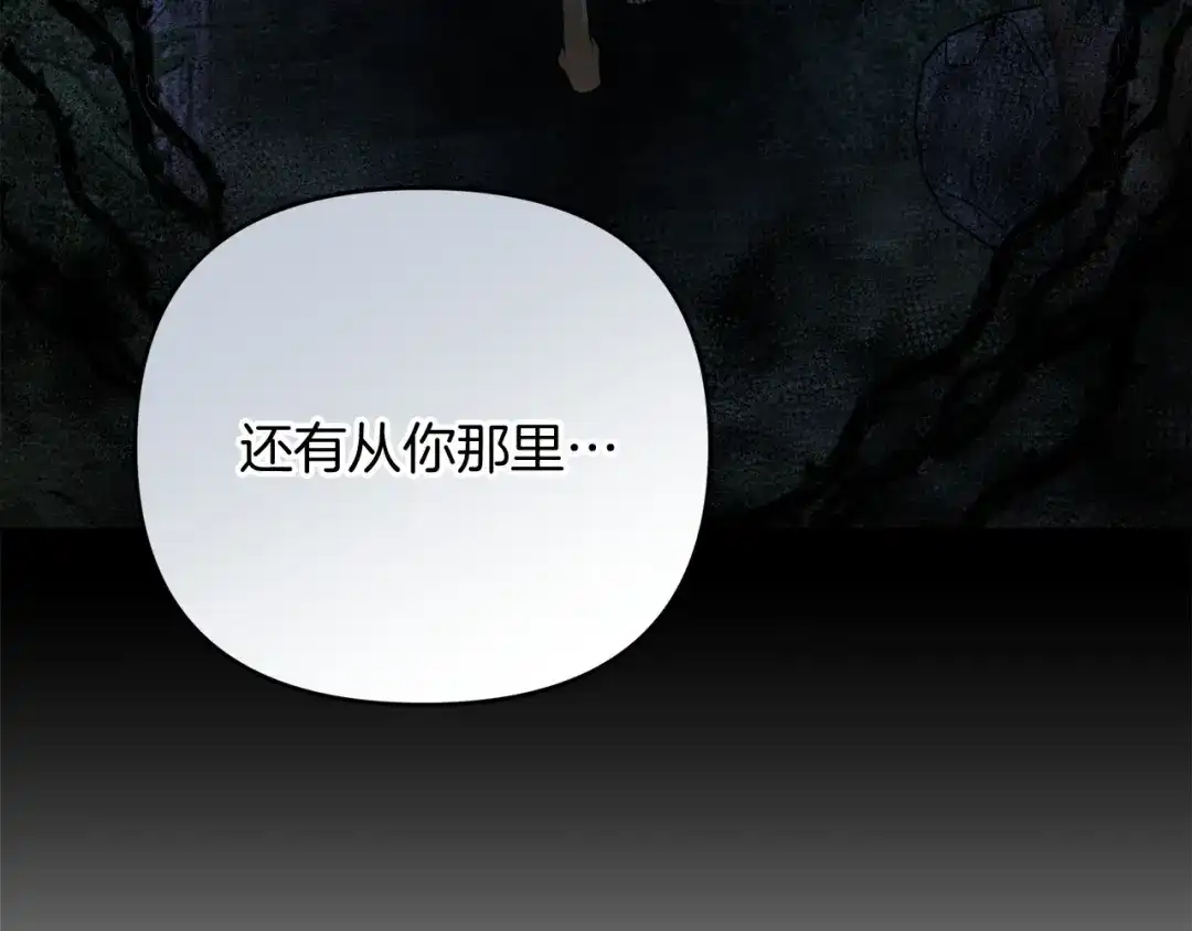 第217页