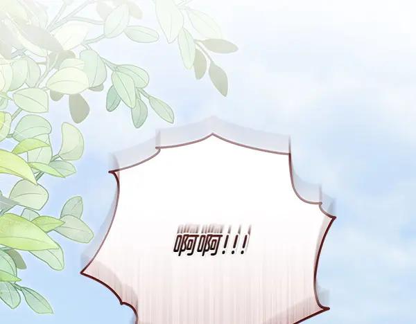 第251页
