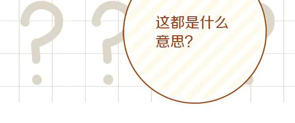 第232页
