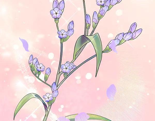 第240页