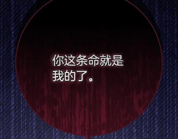 第236页