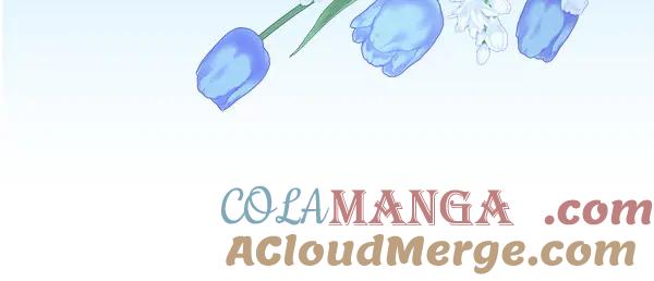 第217页