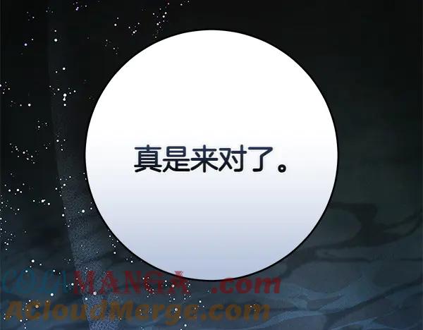 第217页