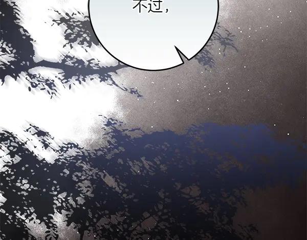 第251页