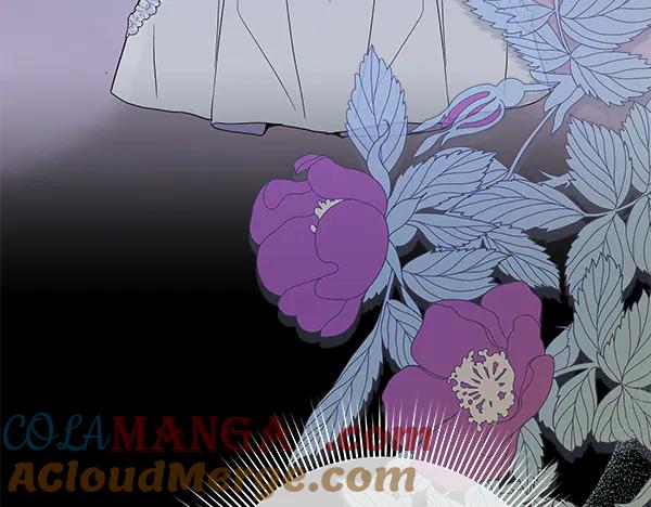 第217页