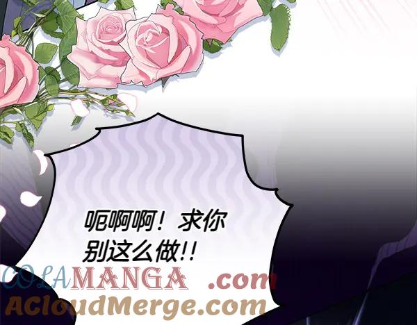 第217页