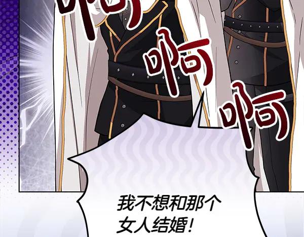 第219页