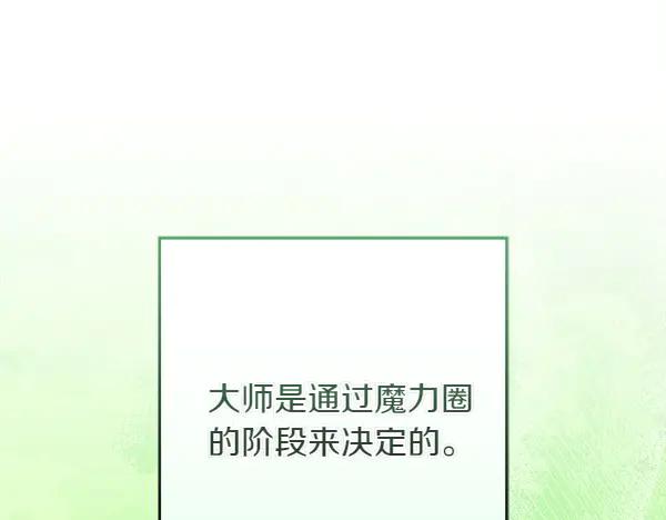 第242页