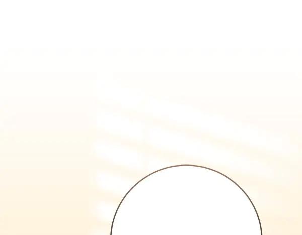 第239页