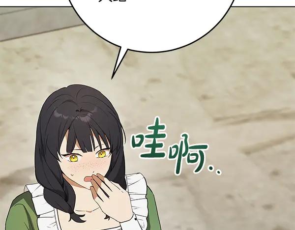 第223页
