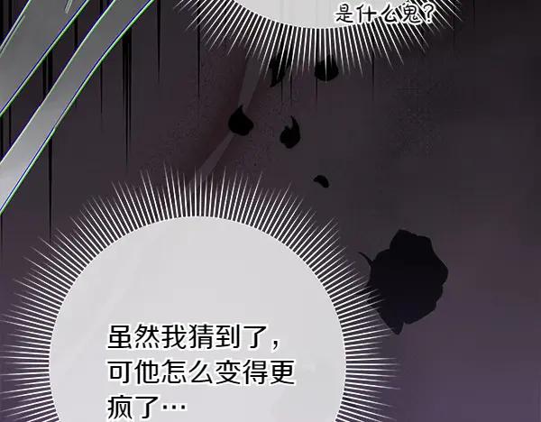 第258页