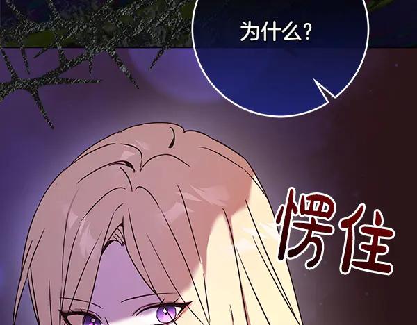 第224页