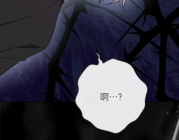 第231页