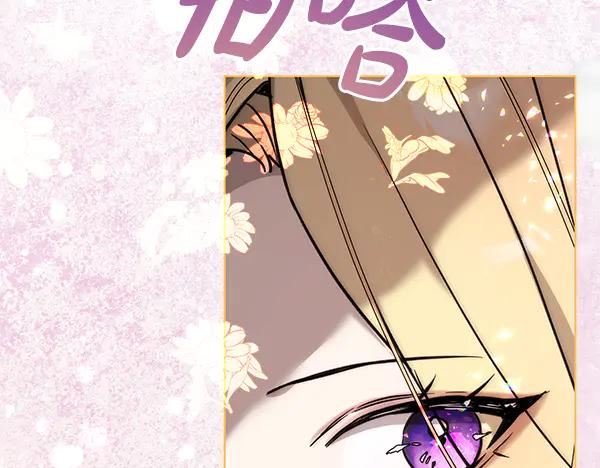 第256页