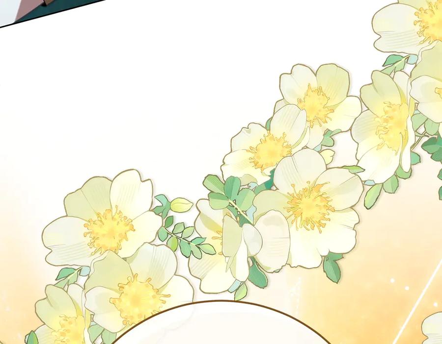 第251页