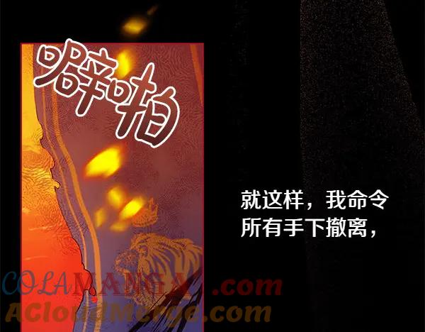 第245页