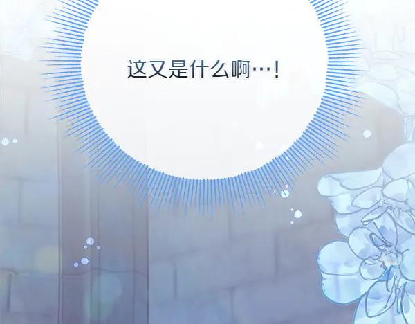 第218页