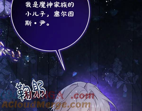 第245页