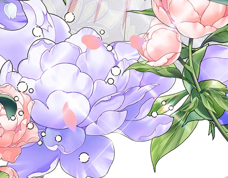 第244页