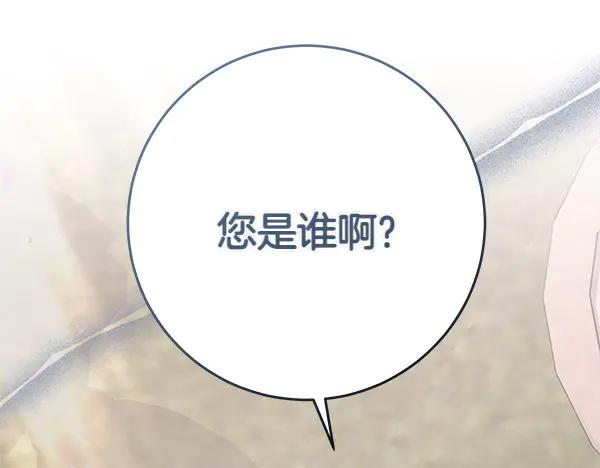 第248页