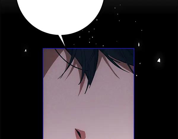 第247页