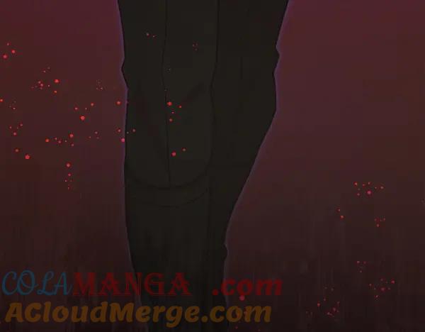 第257页