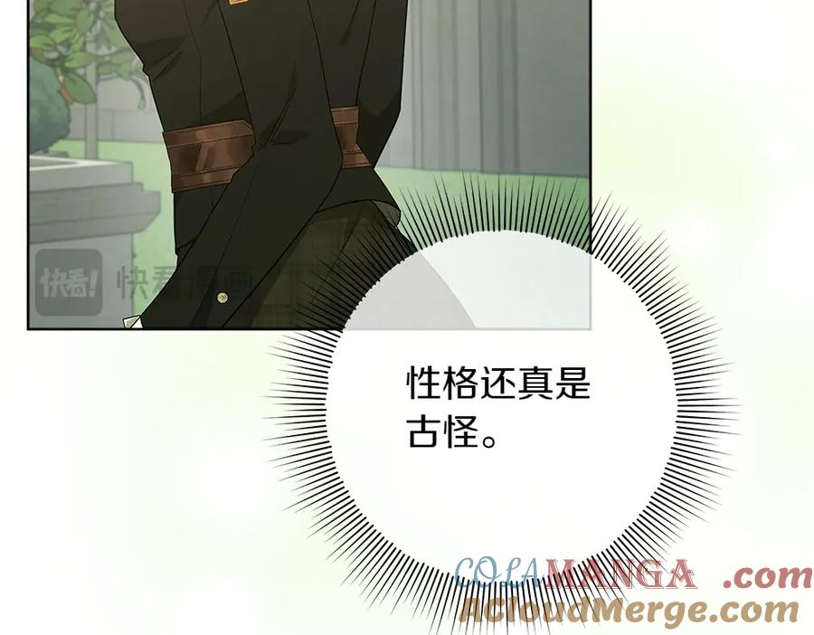 第217页
