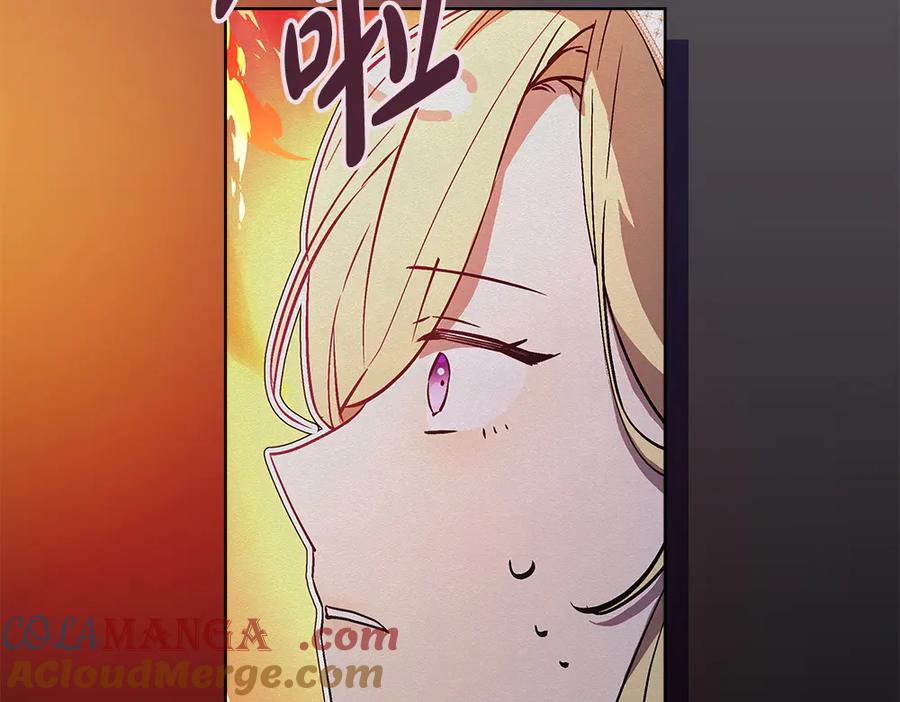 第221页