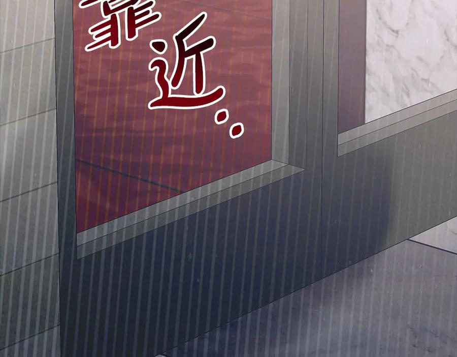 第242页