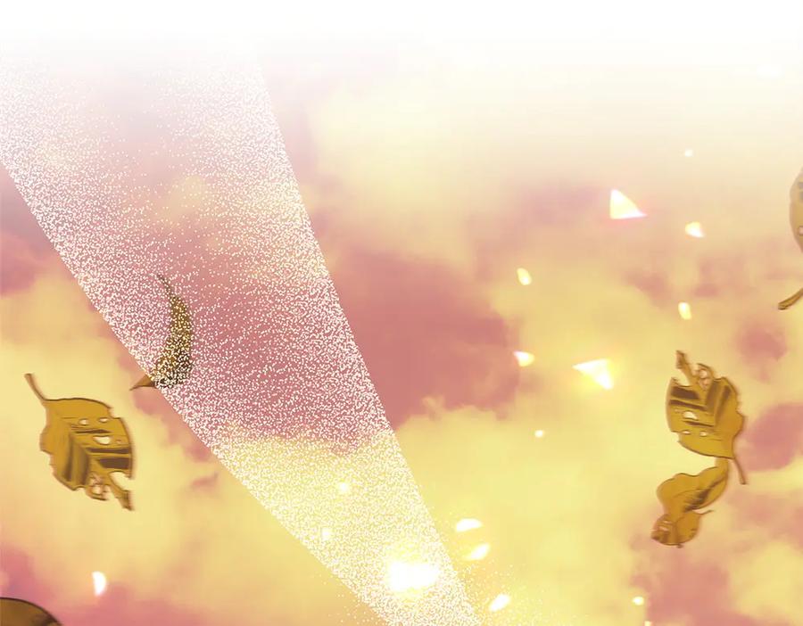 第212页