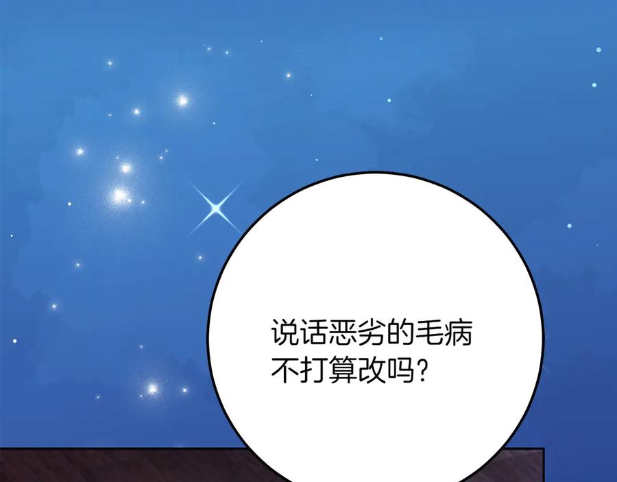 第223页