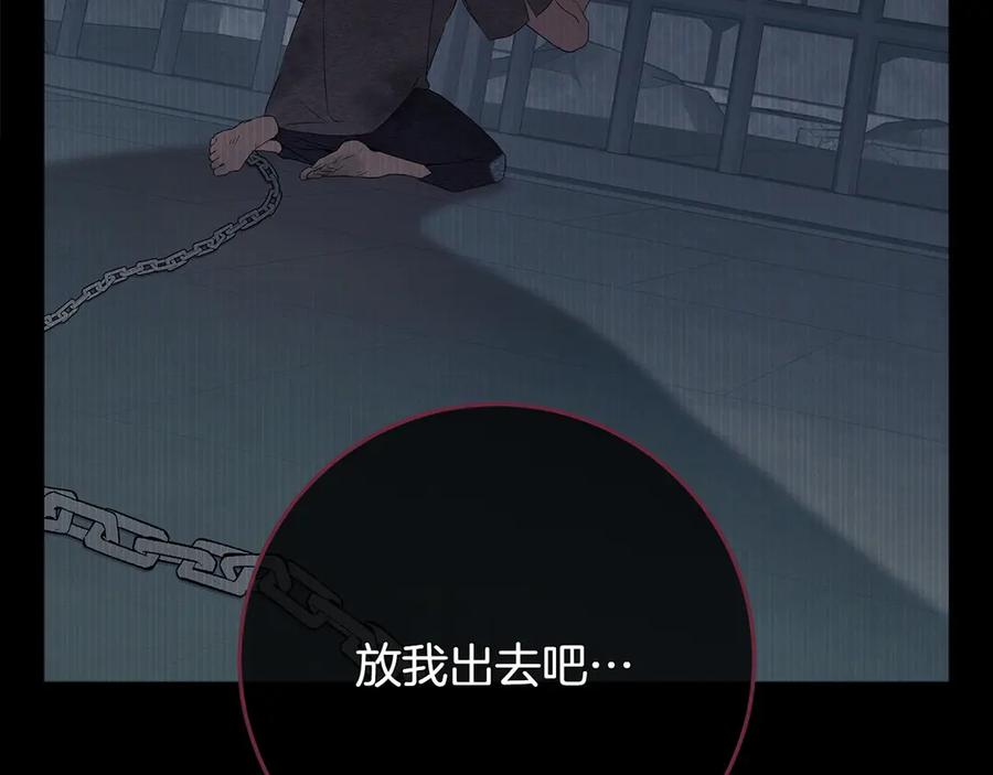 第236页