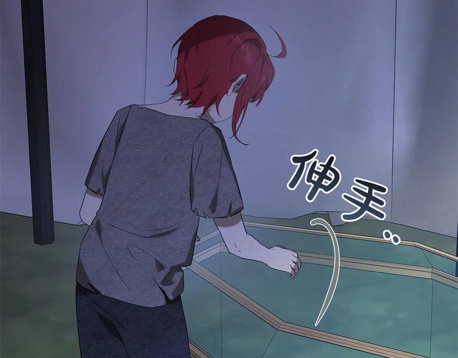 第243页