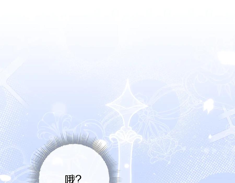 第239页