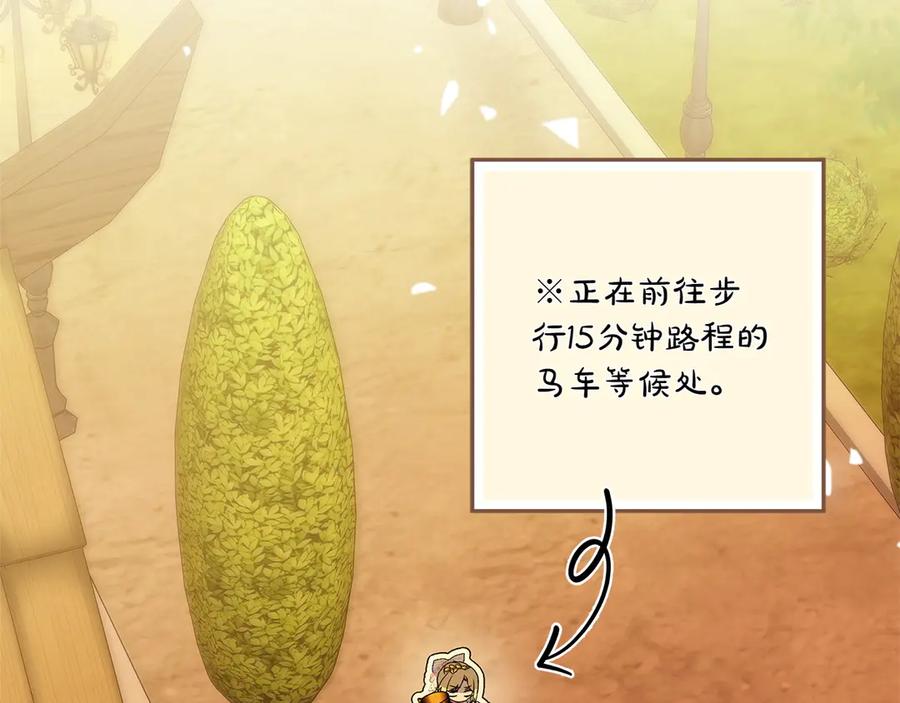 第251页