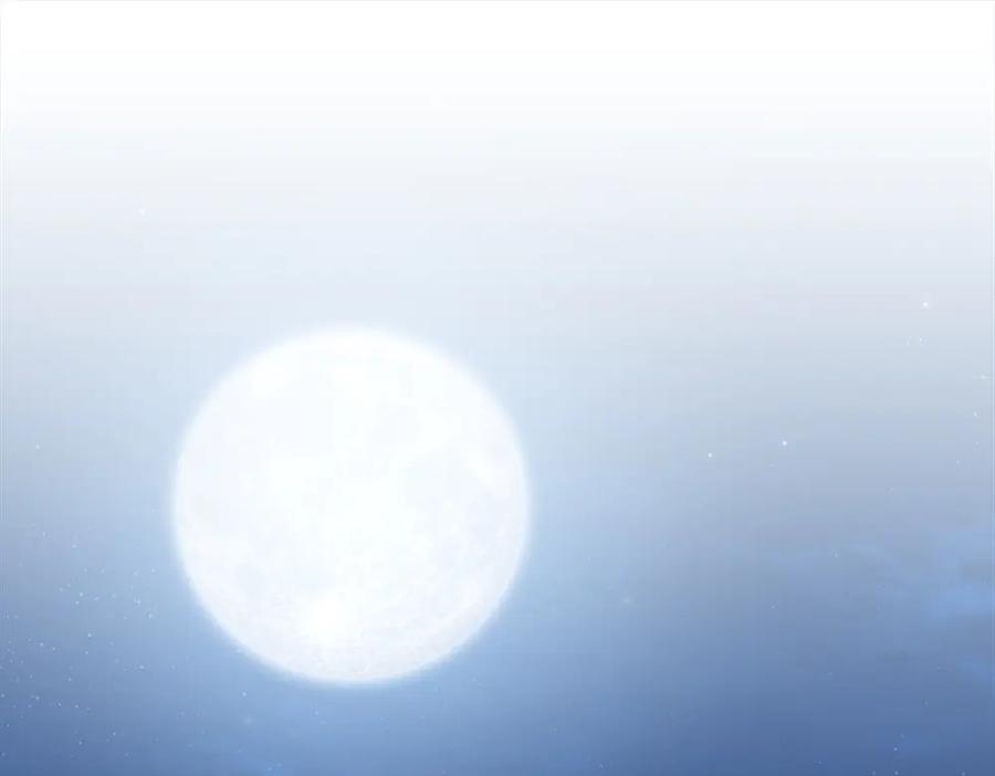 第246页