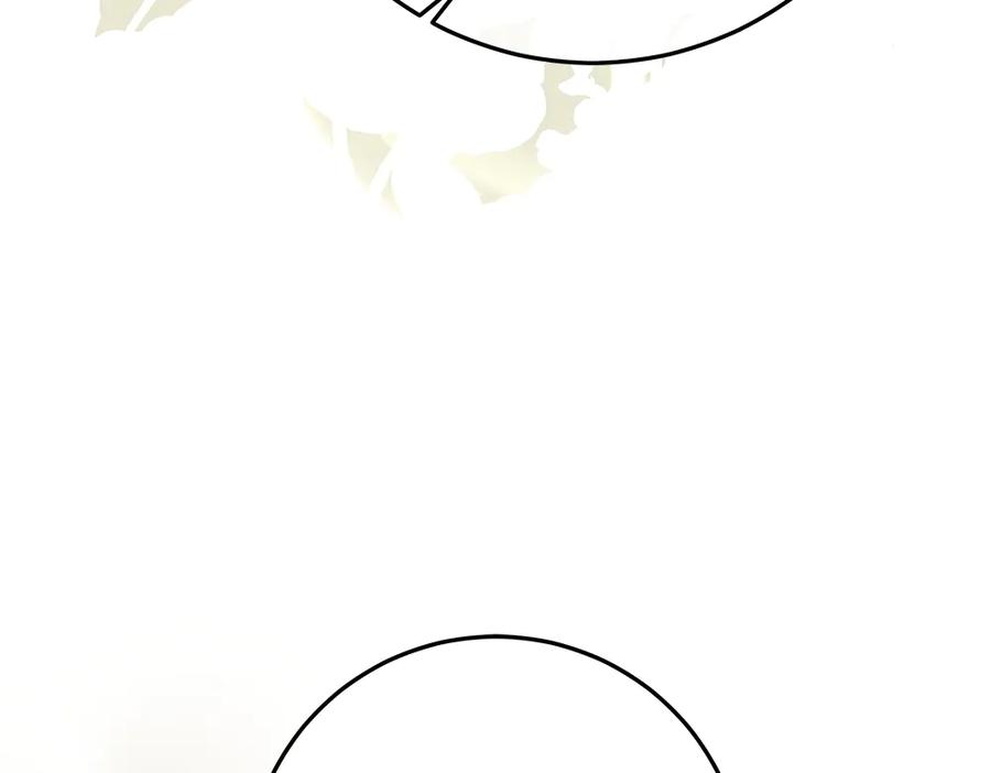 第238页