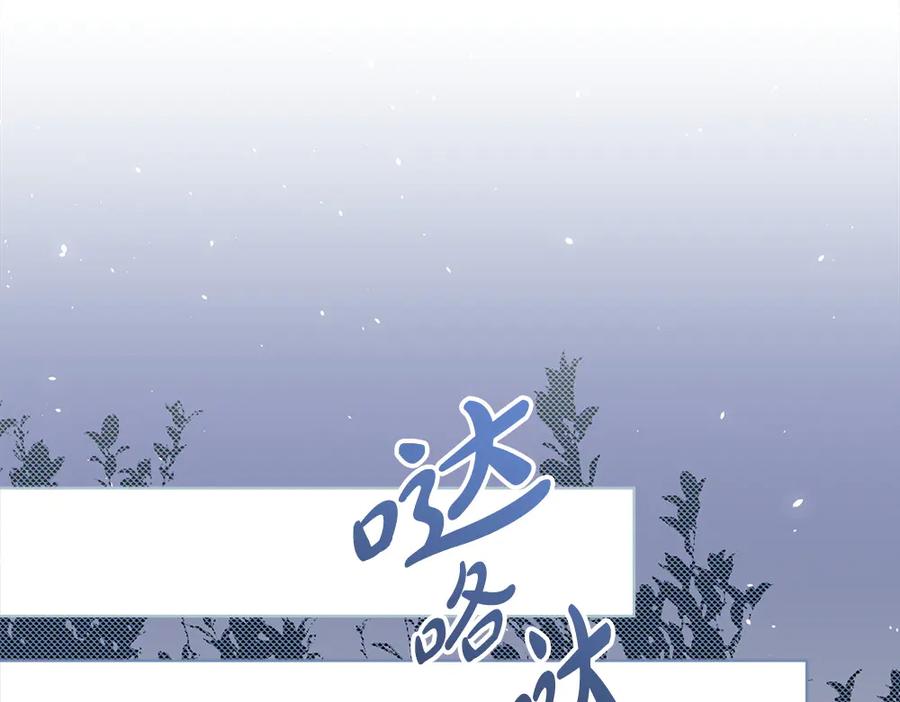 第246页