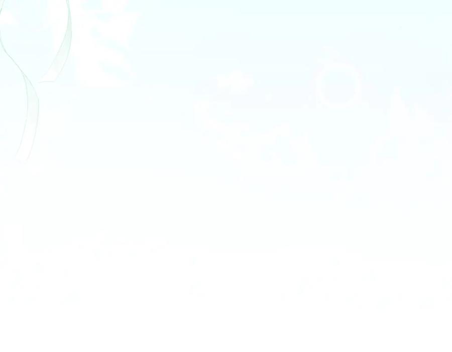 第236页