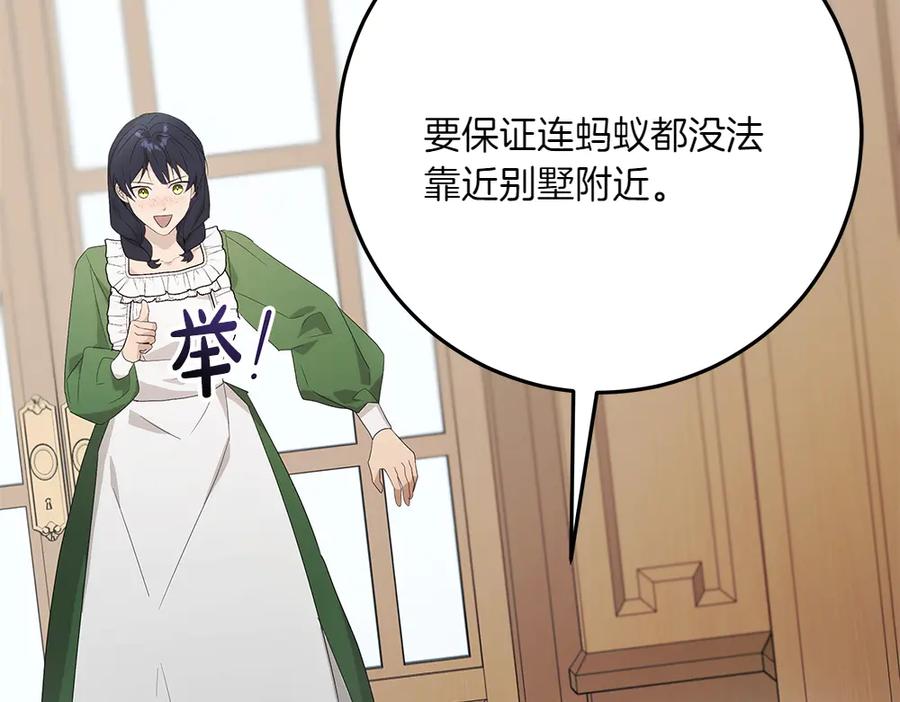 第243页