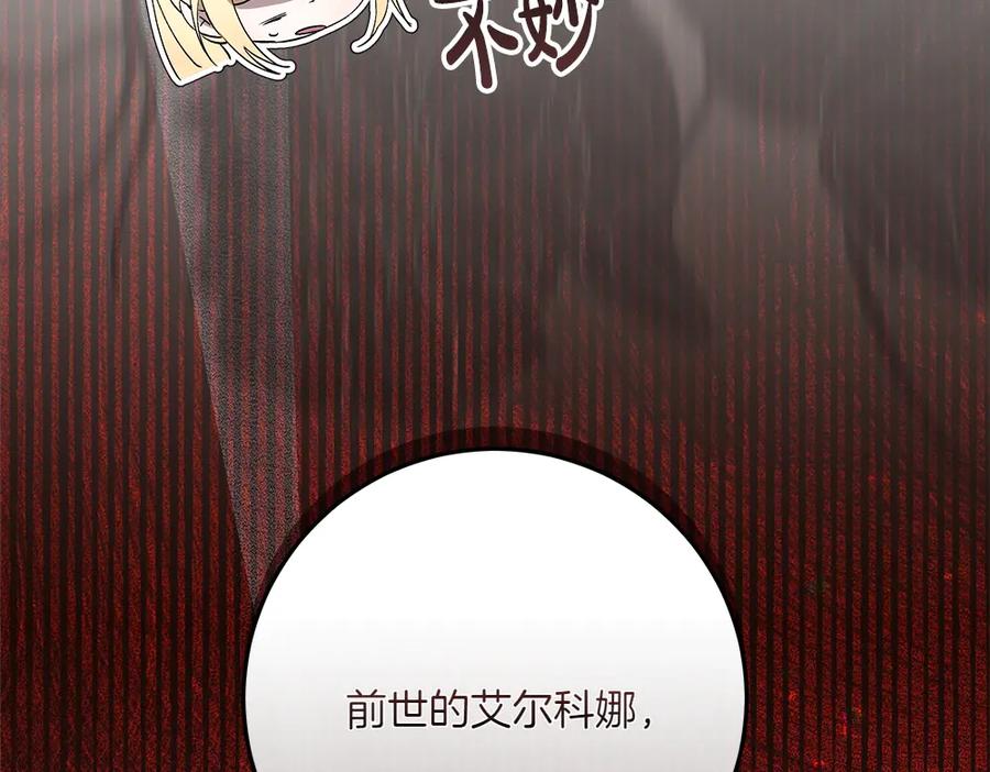 第255页