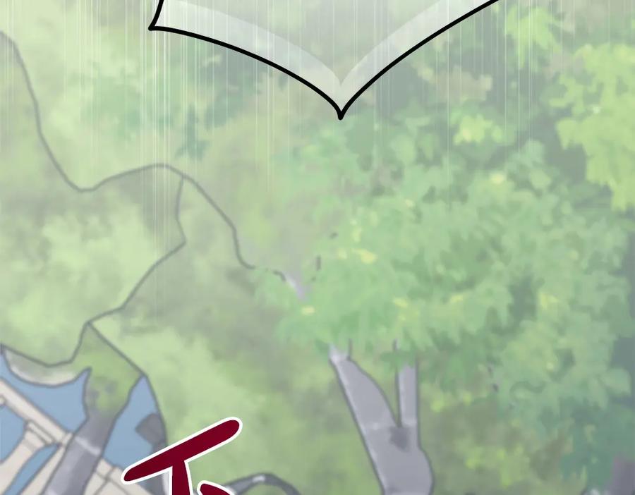 第242页