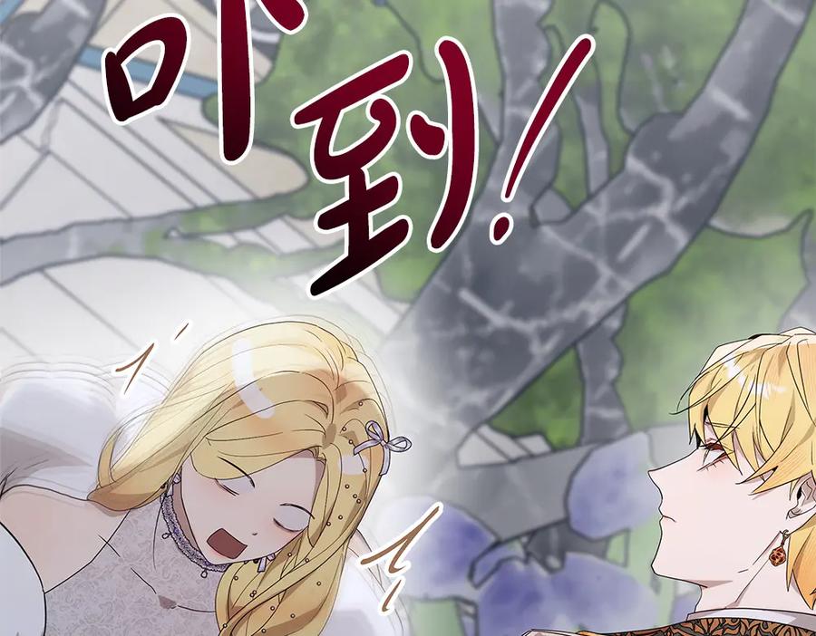 第243页