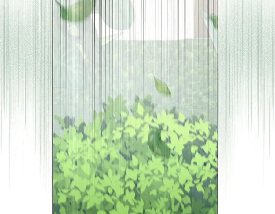 第256页