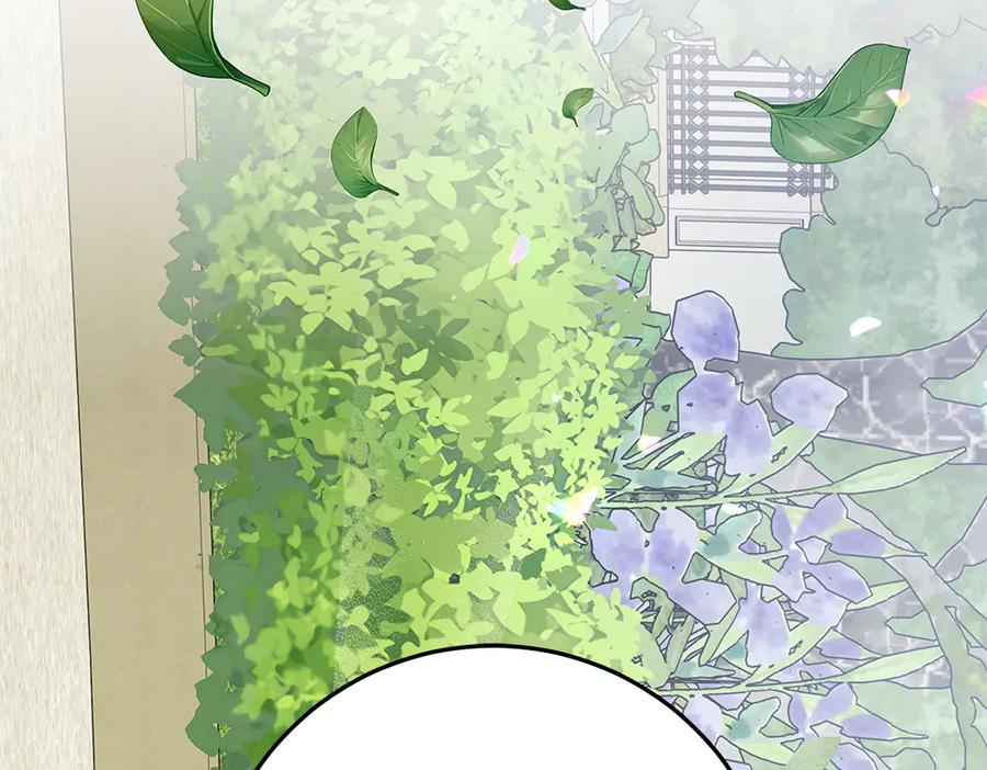 第258页